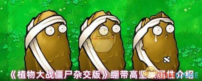 植物大战僵尸杂交版绷带高坚果相关图片