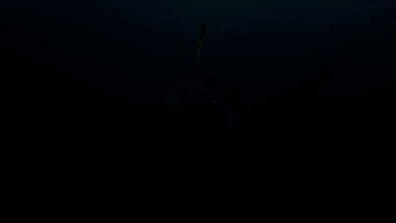 V社相关纪念活动场景