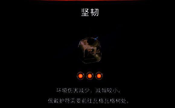 坚韧护符展示画面