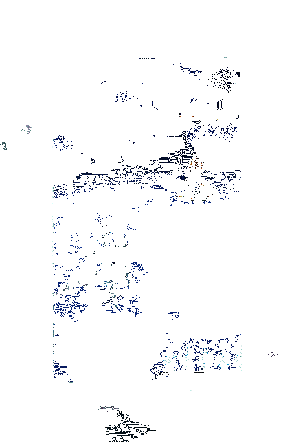 虫师新皮肤流萤鸣心动态图3