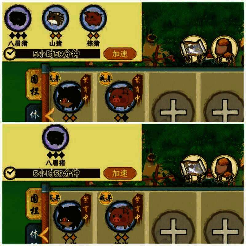 《华夏千秋》猪猪食物相关图片