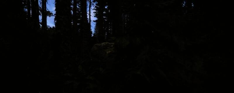 《森林之子》游戏画面中的滑翔翼相关场景