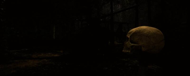 森林之子独轮平衡车相关图片