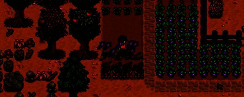 星露谷物语金色鸡相关图片