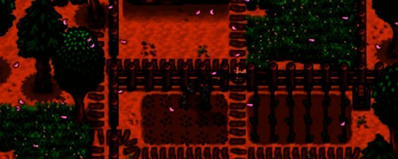 星露谷物语春季沙漠节相关图片