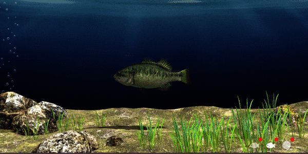 游戏相关动态图片