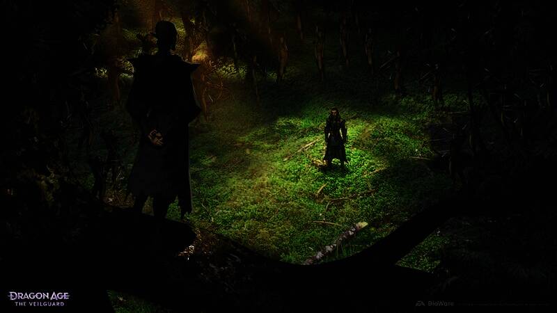 《龙腾世纪:影障守护者》概念艺术图5