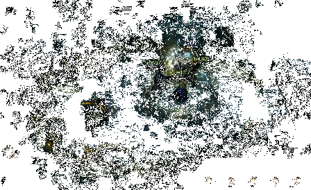 《代号：Dragon》战斗爽感画面