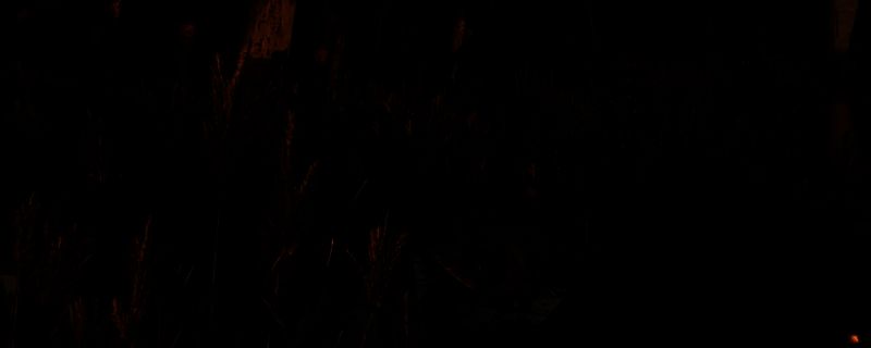 SEVA - D防护服图片