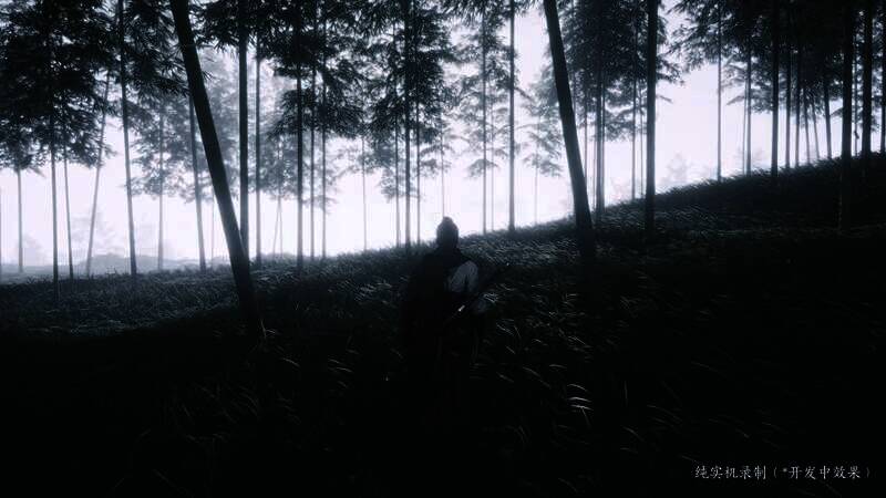 燕云十六声游戏画面2