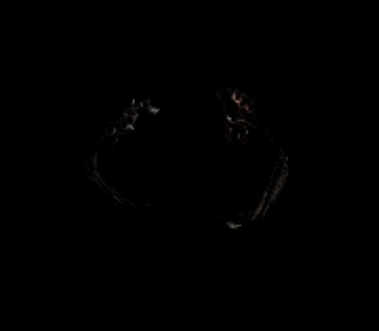 《怪物猎人：荒野》泄露装备图片22