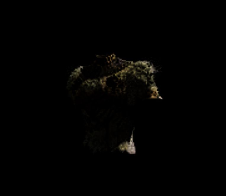 《怪物猎人：荒野》泄露装备图片26