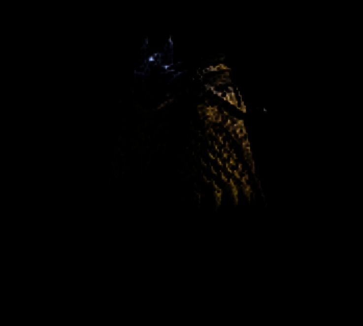 《怪物猎人：荒野》泄露装备图片38