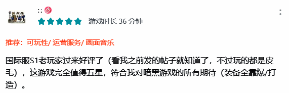 《火炬之光:无限》玩家好评截图1