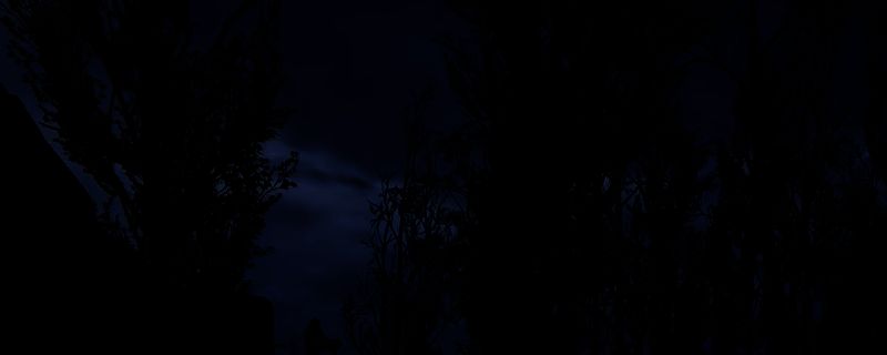 潜行者2游戏画面