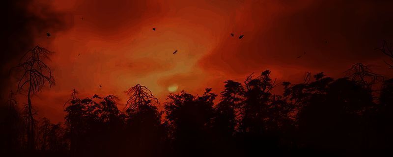 《潜行者2：切尔诺贝利之心》游戏画面