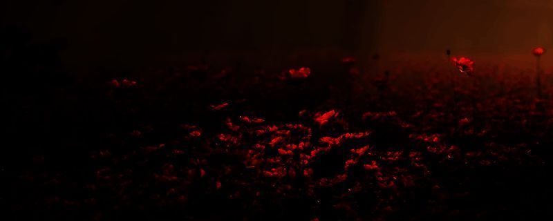 潜行者2游戏画面