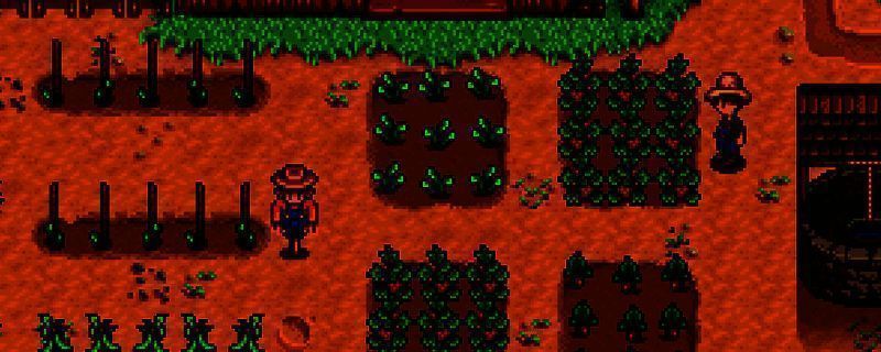 星露谷物语松露蟹相关图片1