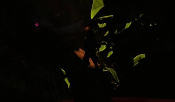 育母蜘蛛战斗画面