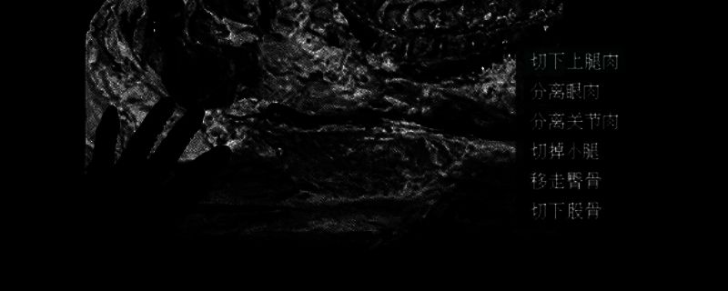 《愚人船 NARRENSCHIFF》游戏相关画面