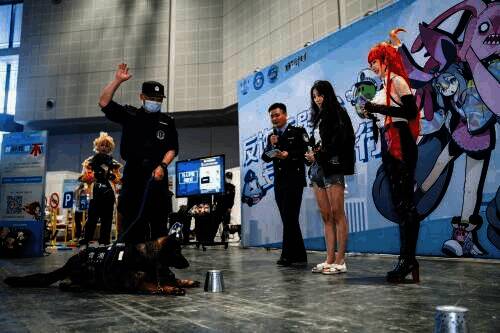 警犬与游客互动照片