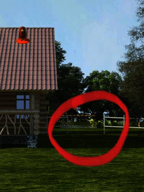 夏天场景河边救小袋鼠画面