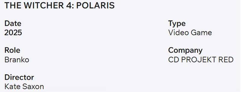 《巫师4》相关配图2