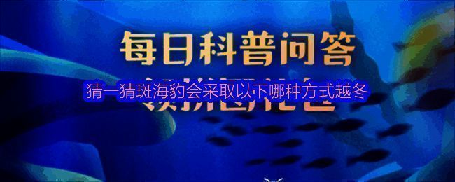 斑海豹相关图片1