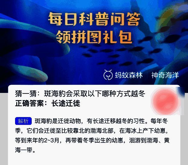 斑海豹相关图片2