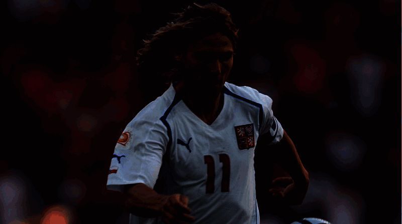 内德维德相关图片1