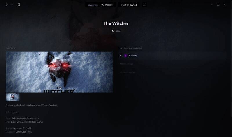 《巫师4》相关展示图1