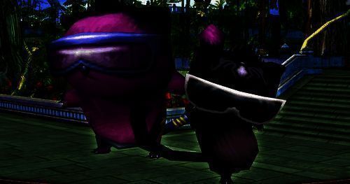 3.png 墨镜猫相关图片3