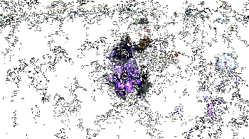 九灵爆灵状态动图