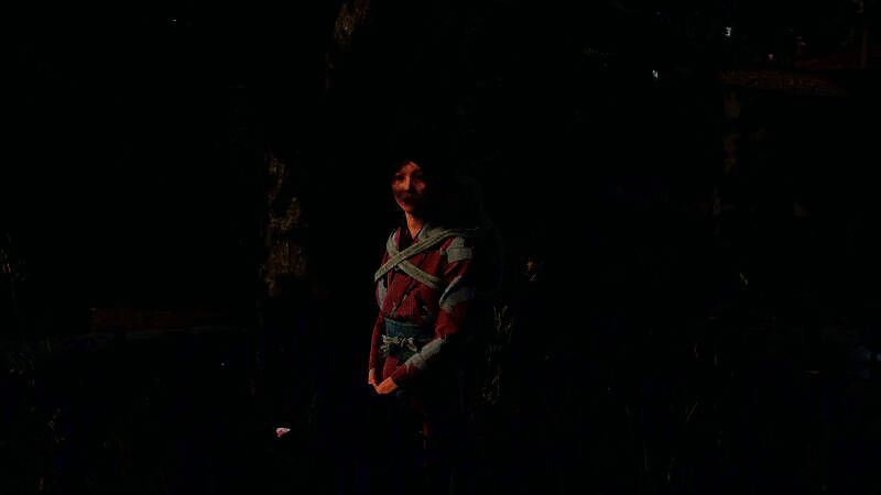 《战国王朝》游戏画面7