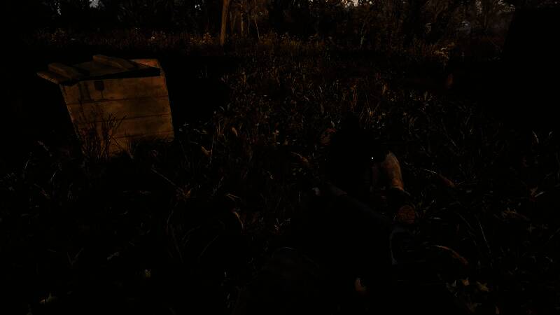 《潜行者2》视频截图1