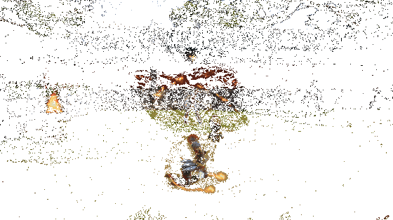 《剑灵2》彩绫职业凤凰氏技能特效动图