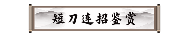 《剑灵2》短刀职业相关图片5