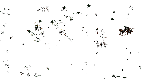 《王之凝视》游戏动态画面2