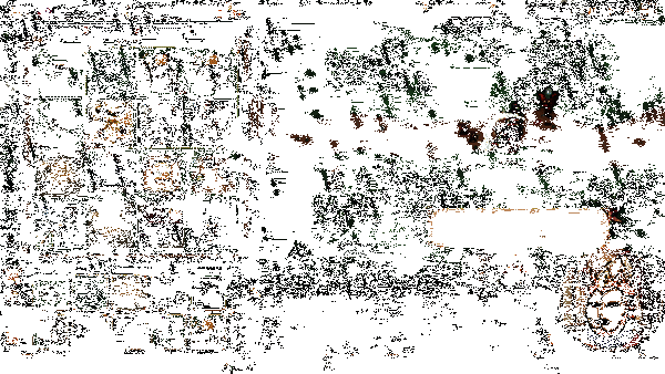 《王之凝视》游戏动态画面3