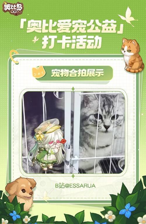 小奥比与宠物可爱合拍图2