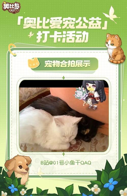 小奥比与宠物可爱合拍图3