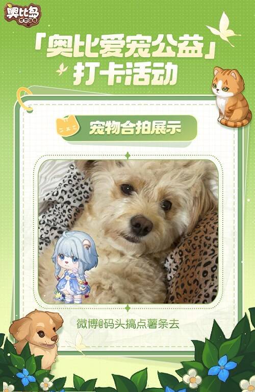 小奥比与宠物可爱合拍图4