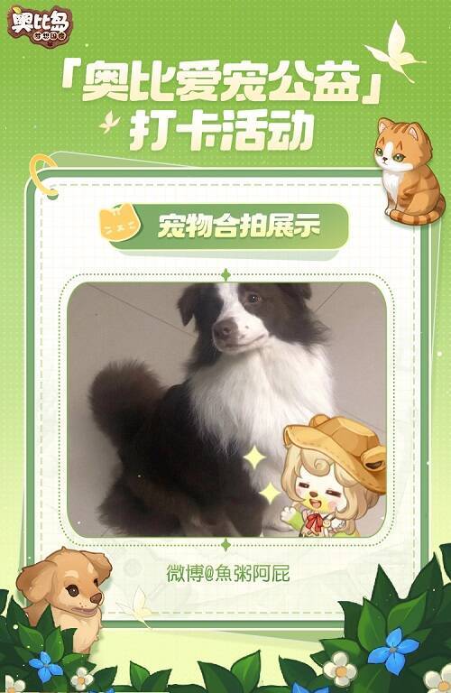 小奥比与宠物可爱合拍图6