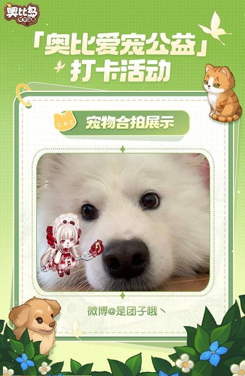 小奥比与宠物可爱合拍图7