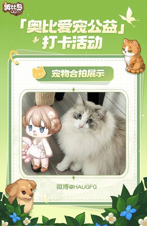 小奥比与宠物可爱合拍图8