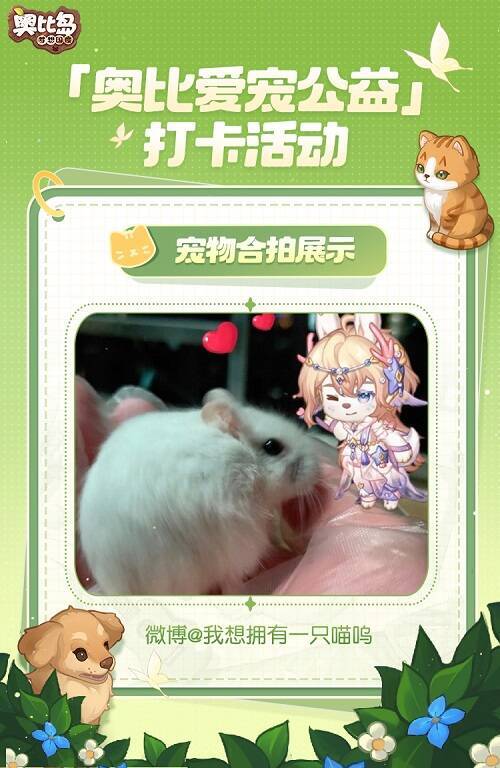 小奥比与宠物可爱合拍图9