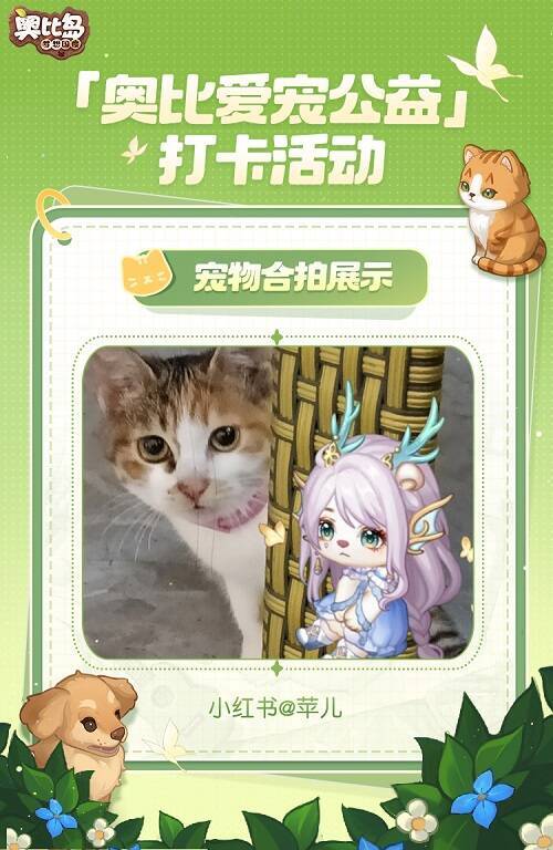 小奥比与宠物可爱合拍图12