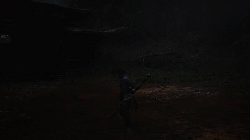 游戏运行视频画面11