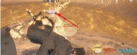 树上的蹊跷画面