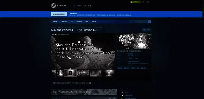《杀死公主》Steam购买页面相关图片